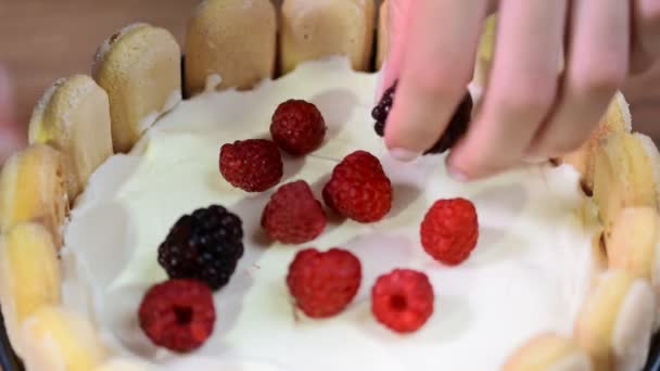 Decorate the cake Charlotte with berries — Stock Video