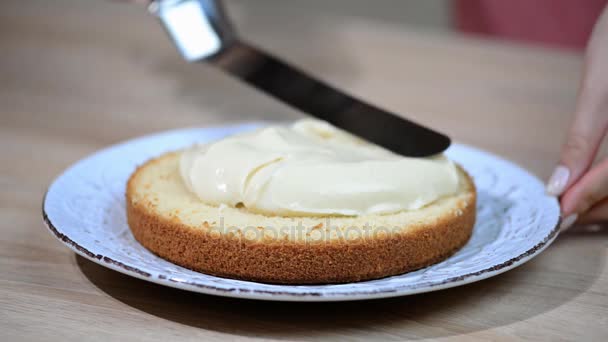 Изготовление Бостонского сливочного пирога. Рука намазывает крем на свежеиспеченный торт — стоковое видео