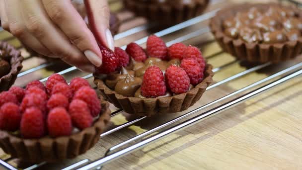 Décorer tarte au chocolat framboises fraîches avec garniture au chocolat — Video