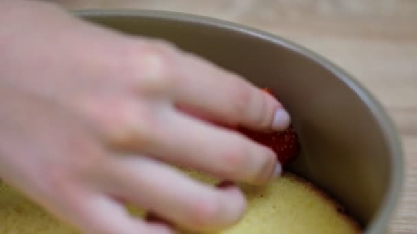 Mulher fazendo bolo de esponja com morangos e creme de baunilha . — Vídeo de Stock