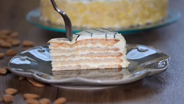 Stück hausgemachter Osternebeltorte. Die Frau ist ein Stück Kuchen — Stockvideo