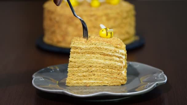 Fresh homemade honey cake "Medovik". Eat honey cake — Stock Video