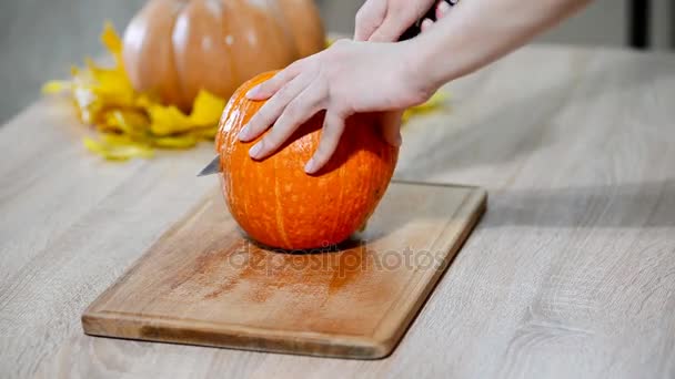 Primer plano de la joven ama de casa corte de calabaza — Vídeo de stock