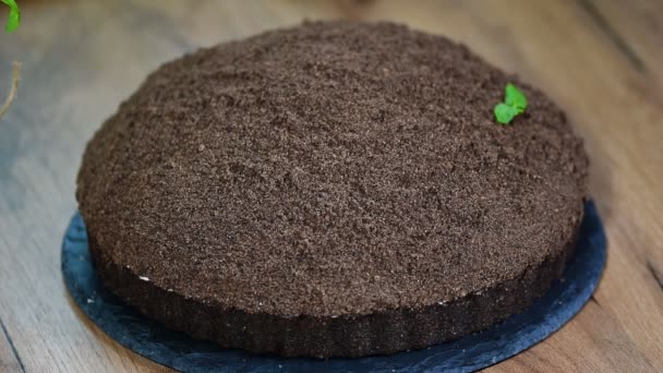 Bir muz ile nane vizon köstebek pasta süslemeleri — Stok video