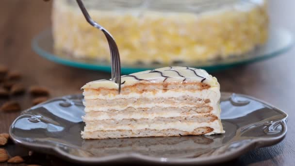 Girl eating piece of homemade Esterhazy cake — Stock Video