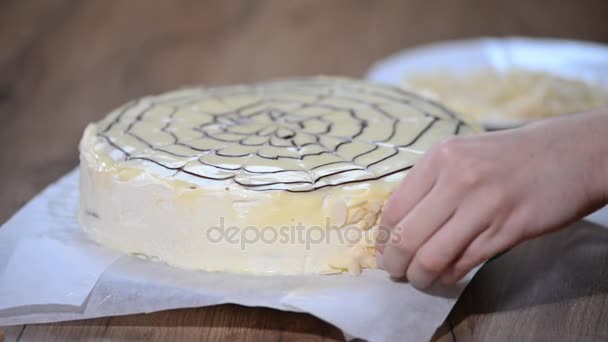 エステルハージのケーキを飾るアーモンド花びら — ストック動画