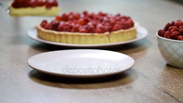 Put Plate Piece Tart Raspberries — Stock Video