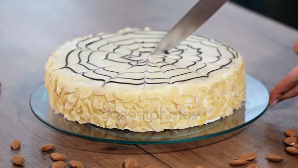 Beau Gâteau Esterh Fille Cuisinier Confiseur Coupe Gâteau Couteau Sur — Video