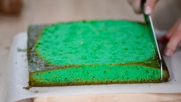 Main Féminine Avec Couteau Coupe Gâteau Vert Éponge — Video