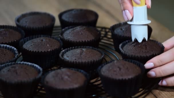 Mujer Cocinando Cupcakes Chocolate — Vídeo de stock