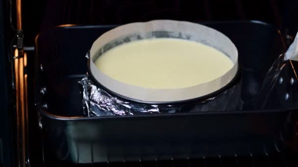 Att Göra Klassisk Cheesecake New York — Stockvideo