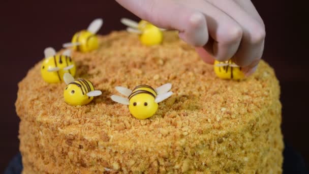 女の子飾るミツバチ ケーキ — ストック動画