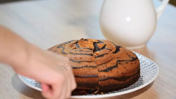 Pedazo Pastel Cebra Con Glaseado Chocolate — Vídeo de stock