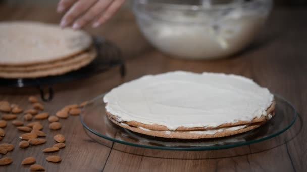 Kuchenschichten Stapeln Torte Mit Buttercremefüllung Zubereiten — Stockvideo