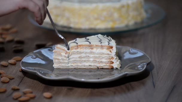 Yapımı Esterhazy Kek Parçası Kadın Yemek Pasta Esterhazy — Stok video