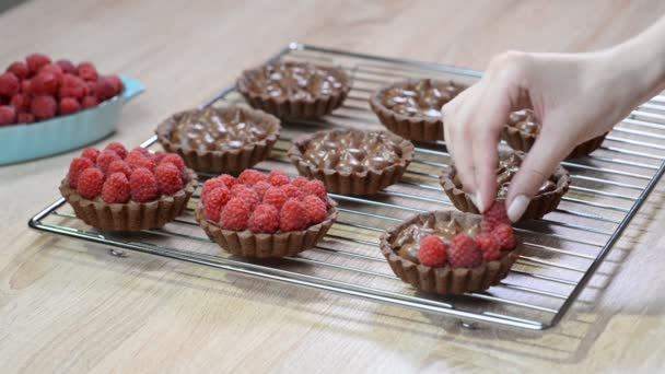 Kochen Schokoladentarte Mit Schokoladenfüllung Und Frischen Himbeeren — Stockvideo