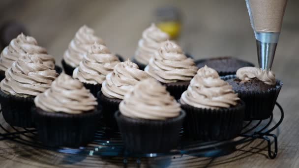 Decorare muffin al cioccolato con crema al cioccolato — Video Stock