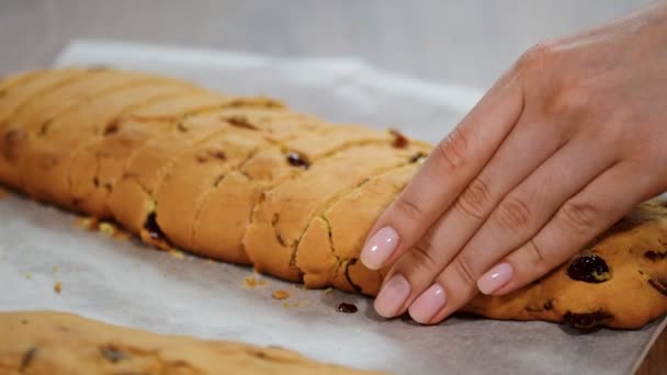 Att Göra Italienska Kakor Biscotti — Stockvideo