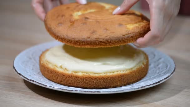 Boston Kremalı Pasta Yapımında Taze Pişmiş Kek Üzerine Krema Koyarak — Stok video