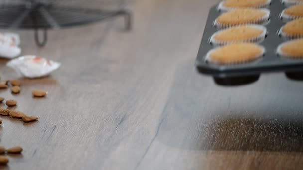 Freshly Baked Muffins Molds — Stock Video