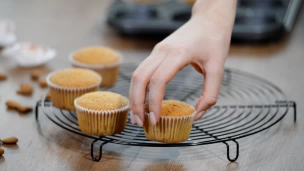Muffins Faits Maison Fraîchement Cuits — Video
