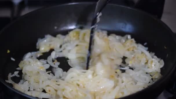 用油锅里的油炸洋葱 — 图库视频影像