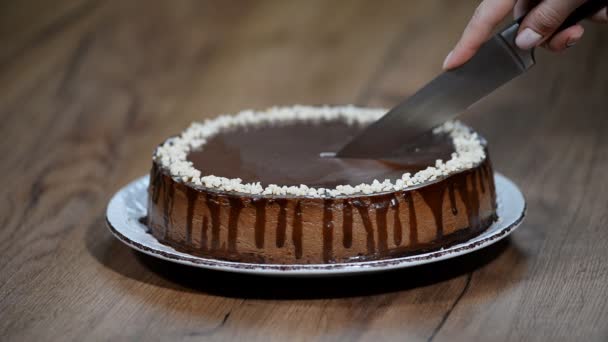 Cortar pastel de queso de chocolate con un cuchillo — Vídeo de stock
