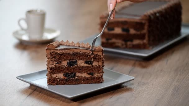 Essen Sie Ein Leckeres Stück Schokoladenkuchen — Stockvideo