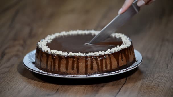 Cutting Chocolate Cheesecake Knife — Stock Video