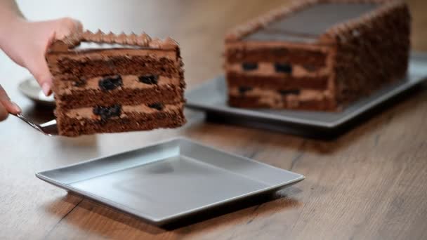 Ein Stück Schokoladenkuchen Einen Teller Geben — Stockvideo