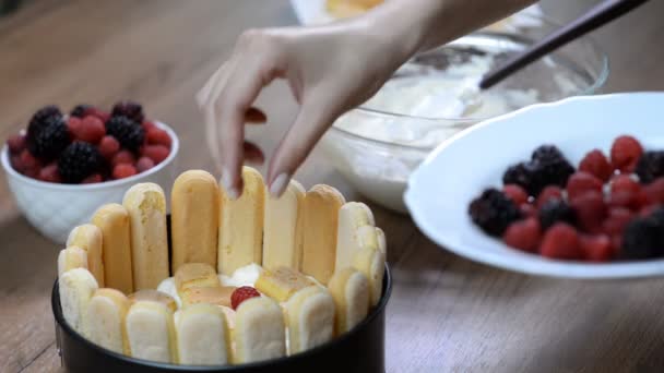 Matlagning Charlotte Tårta Med Bär Och Grädde — Stockvideo