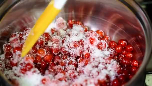 Rode bessen met suiker in een pan. De jam koken — Stockvideo