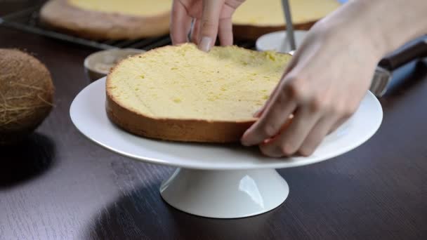 Процесс Приготовления Торта Кондитеры Приравнивают Крем Печенья Помощью Кондитерской Лопатки — стоковое видео