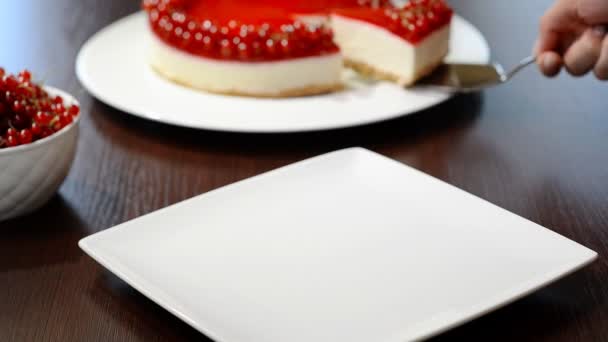 Leg Een Stuk Cheesecake Met Rode Bessen Een Witte Plaat — Stockvideo