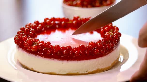 Woman Cutting Sour Cream Cheesecake Red Currant — Stock Video