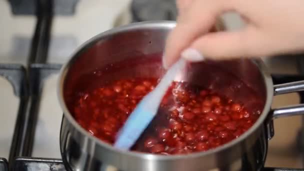 Preparare marmellata con ribes rosso. Primo piano . — Video Stock