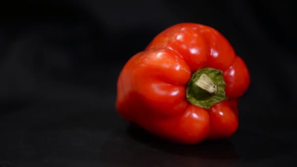 Pimenta búlgara vermelha suculenta em um fundo preto, vegetal natural, close-up — Vídeo de Stock