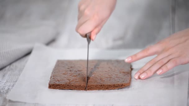 Couper le gâteau sur les couches. Faire gâteau de couche de chocolat. Série. — Video