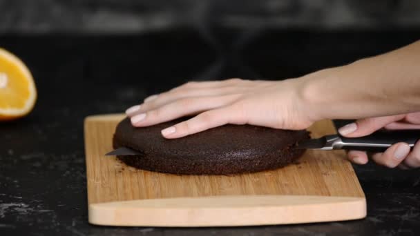 Tagliare la torta a strati. Fare torta strato di cioccolato. Serie.. — Video Stock