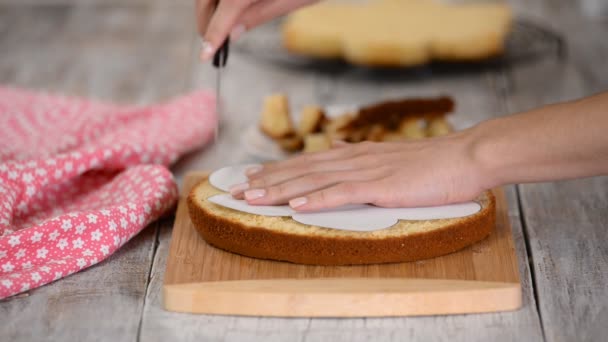 La mano femenina está cortando forma de flor de la torta de esponja . — Vídeos de Stock