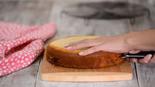 女人手切海绵蛋糕。 甜食 — 图库视频影像