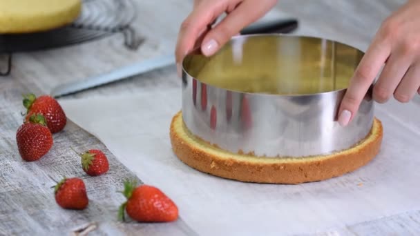 Manos femeninas cortando el bizcocho con un anillo de confitería . — Vídeos de Stock