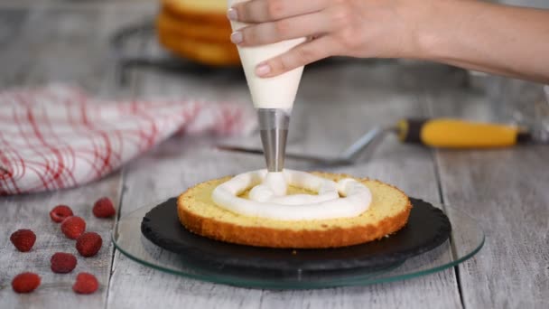 Chef de pastelaria fazendo delicioso bolo em camadas. Sobremesa gostosa na festa de férias . — Vídeo de Stock