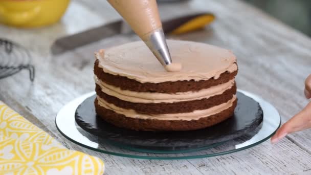 Hacer pastel de chocolate con crema . — Vídeos de Stock