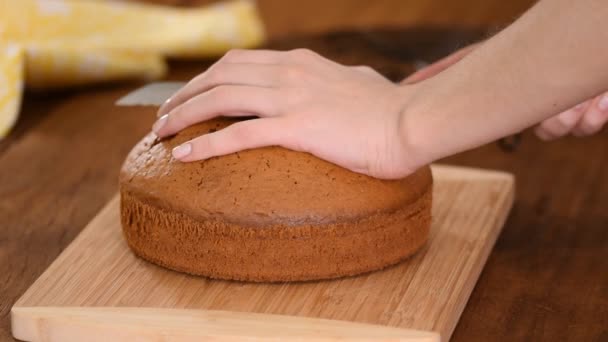 De cerca, mujer cortando pastel de esponja en capas . — Vídeos de Stock