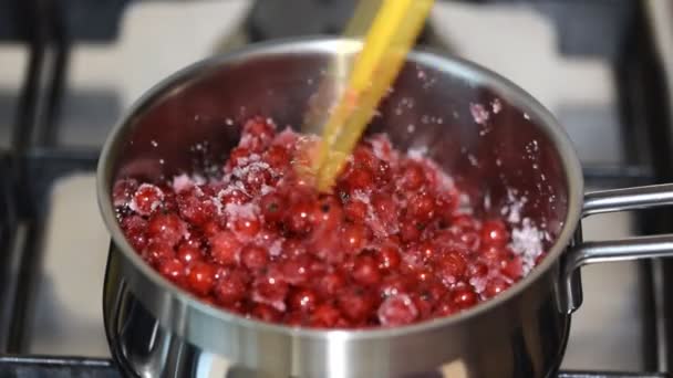 Close-up woman stirs red berry with small silicone spatula in a metal saucepan. — 비디오