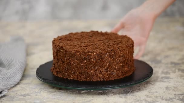 Французький шоколад Наполеон торт туфового тіста з заварним кремом.. — стокове відео