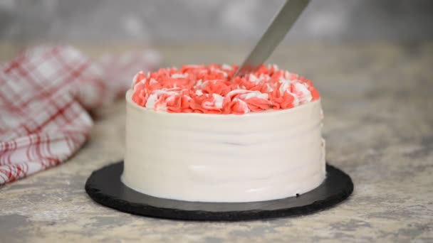 Το μαχαίρι κόβει ένα κομμάτι από νόστιμο κέικ κεράσι με ροζ κρέμα. — Αρχείο Βίντεο
