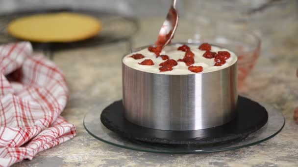 O processo de fazer um bolo. Chef fazendo bolo de camada com recheio de cereja e creme azedo. Série . — Vídeo de Stock