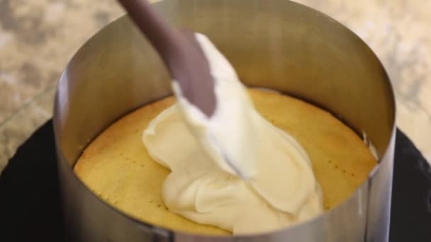 Процесс приготовления торта. Шеф-повар делает слоистый торт с вишневой начинкой и сметаной. Серия . — стоковое видео